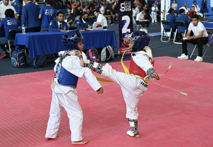 ABIERTO INTERNACIONAL DE TAE (3)