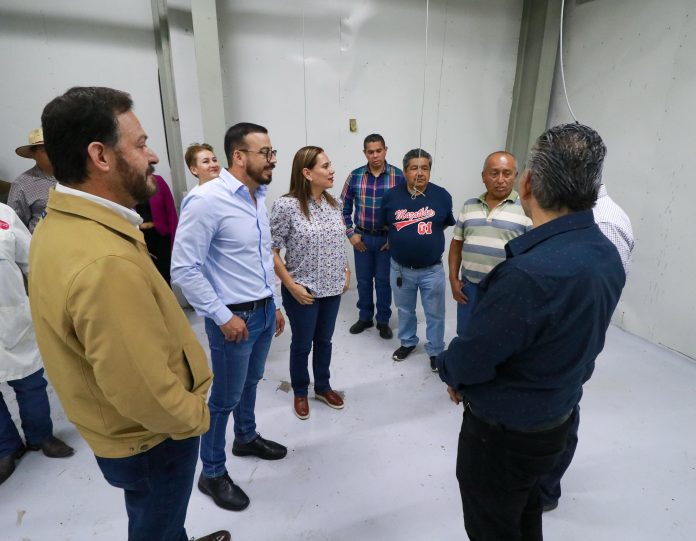 Rastro municipal (4)