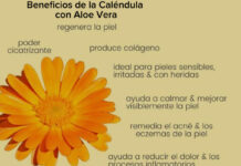 La piel de tu rostro no envejecerá con Caléndula y Aloe Vera