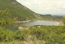 IMPULSAN COMUNIDADES CON MEJORAS DE BORDERÍAS