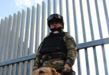 FORTALECE IRAPUATO SU PLAN DE SEGURIDAD CON CERTIFICACIÓN DE MANEJADORES DE LA UNIDAD K9