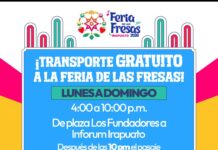 CONOCE LA RUTA DEL TRANSPORTE PÚBLICO GRATUITO A LA FERIA DE LAS FRESAS 2026