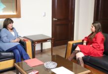 ALIANZAS OSCURAS Y TRAICIONES EN EL PRI: EL GOLPE QUE HUNDE AL TRICOLOR EN IRAPUATO / «TARJETA POSTAL» COLUMNA POLÍTICA